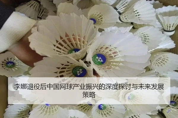 李娜退役后中国网球产业振兴的深度探讨与未来发展策略