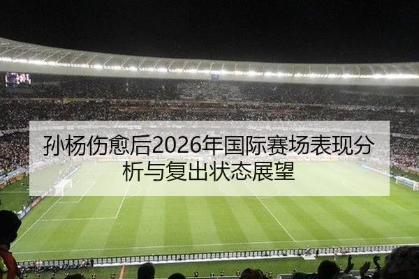 孙杨伤愈后2026年国际赛场表现分析与复出状态展望