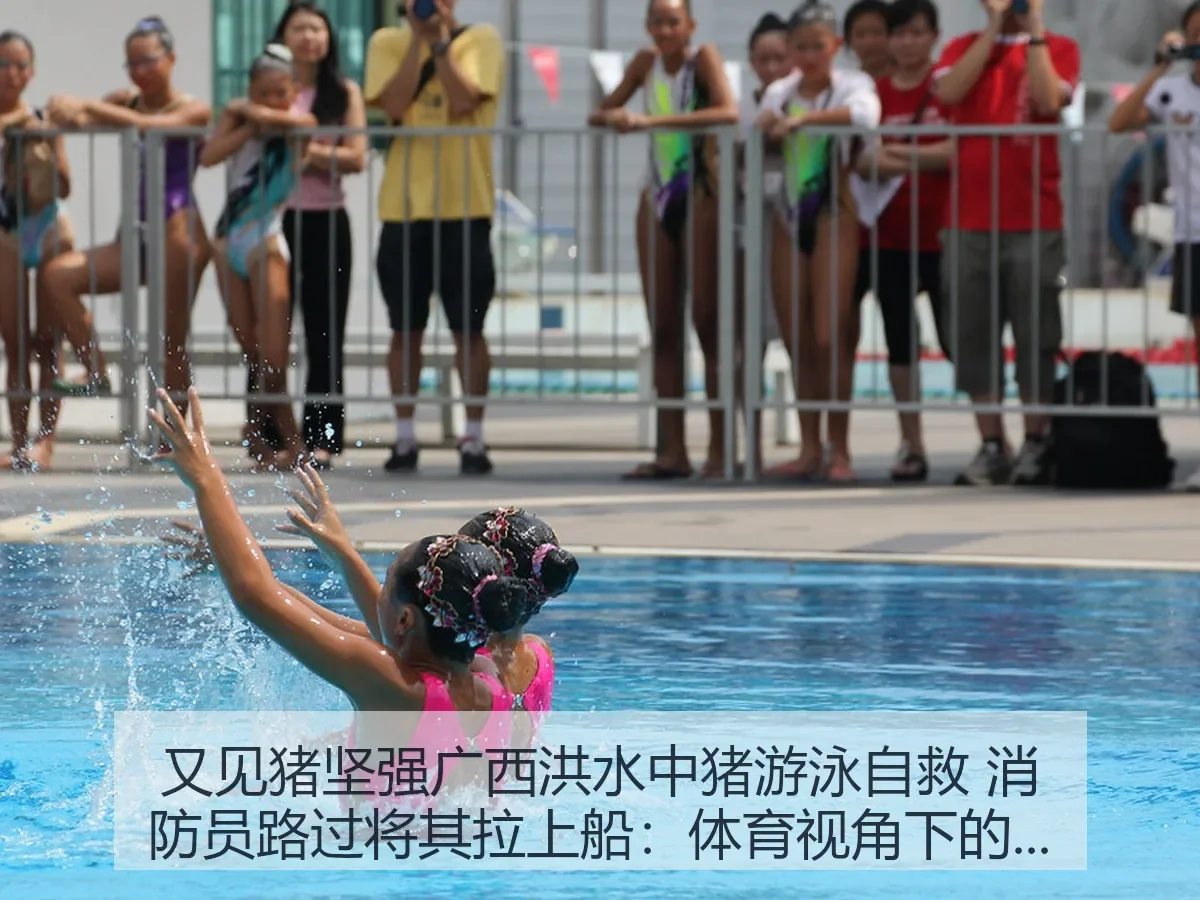 又见猪坚强广西洪水中猪游泳自救 消防员路过将其拉上船：体育：生命韧性观察
