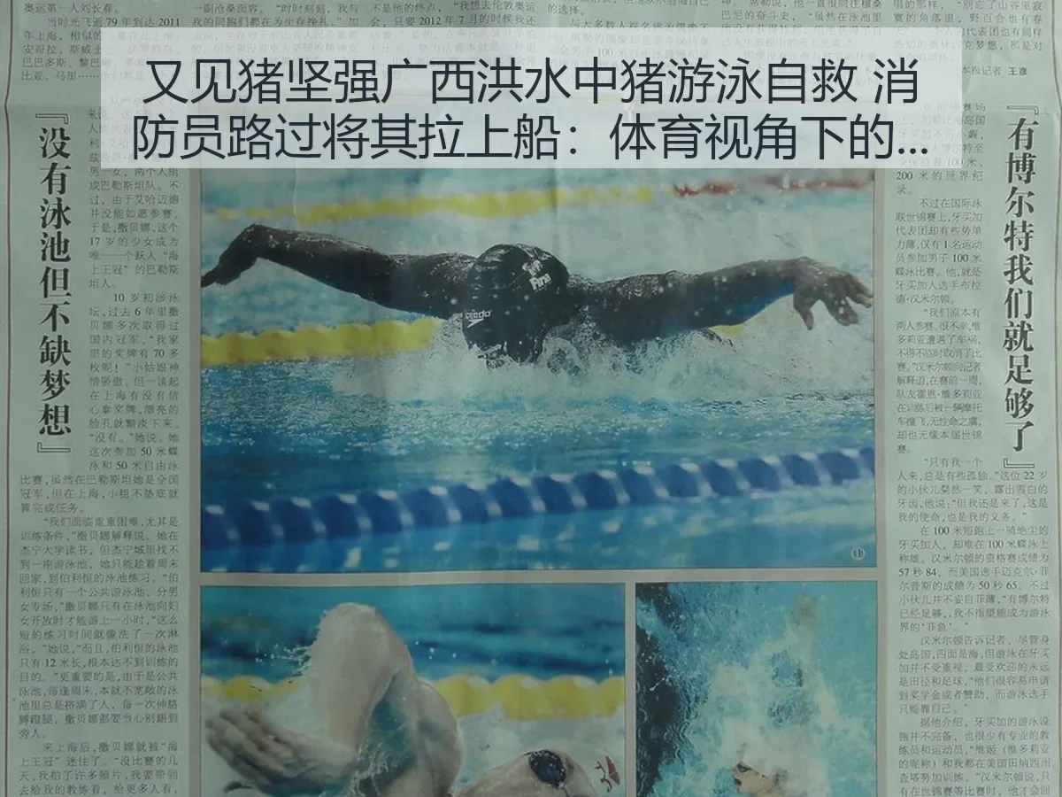 又见猪坚强广西洪水中猪游泳自救 消防员路过将其拉上船:体育:生命韧性观察
